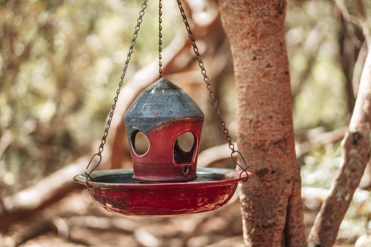 Bussells Bushland Cottages Margaret River Exteriér fotografie