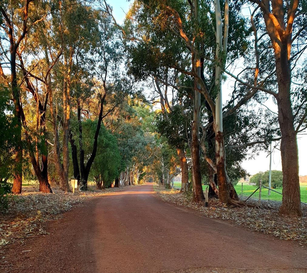 Bussells Bushland Cottages Margaret River Exteriér fotografie