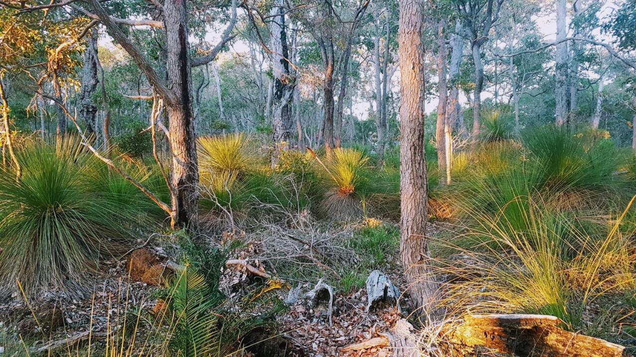 Bussells Bushland Cottages Margaret River Exteriér fotografie