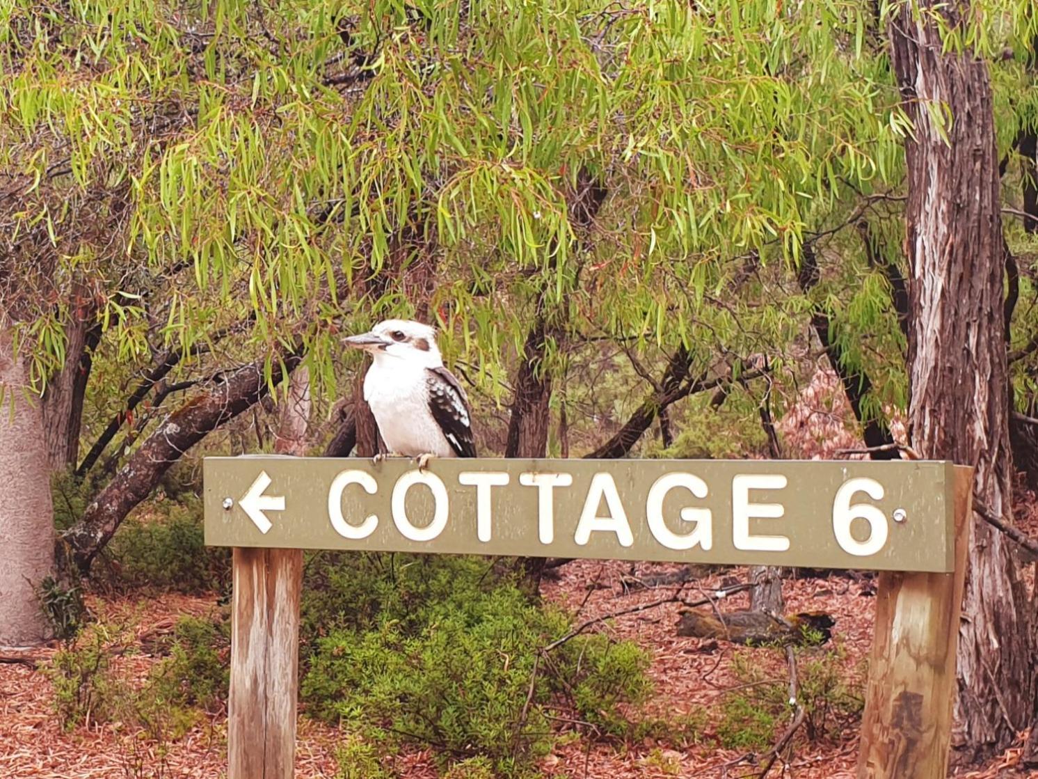Bussells Bushland Cottages Margaret River Exteriér fotografie