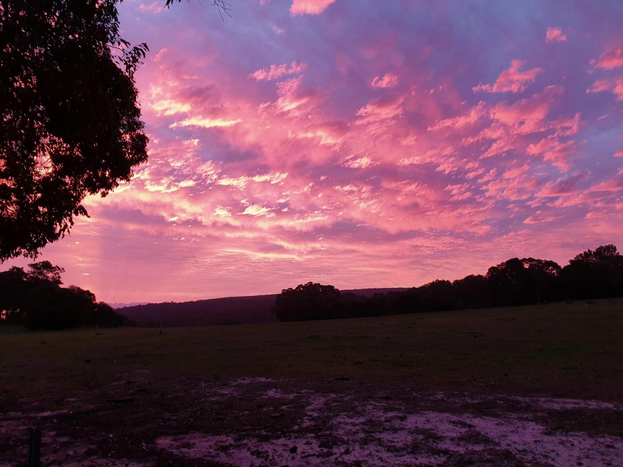 Bussells Bushland Cottages Margaret River Exteriér fotografie