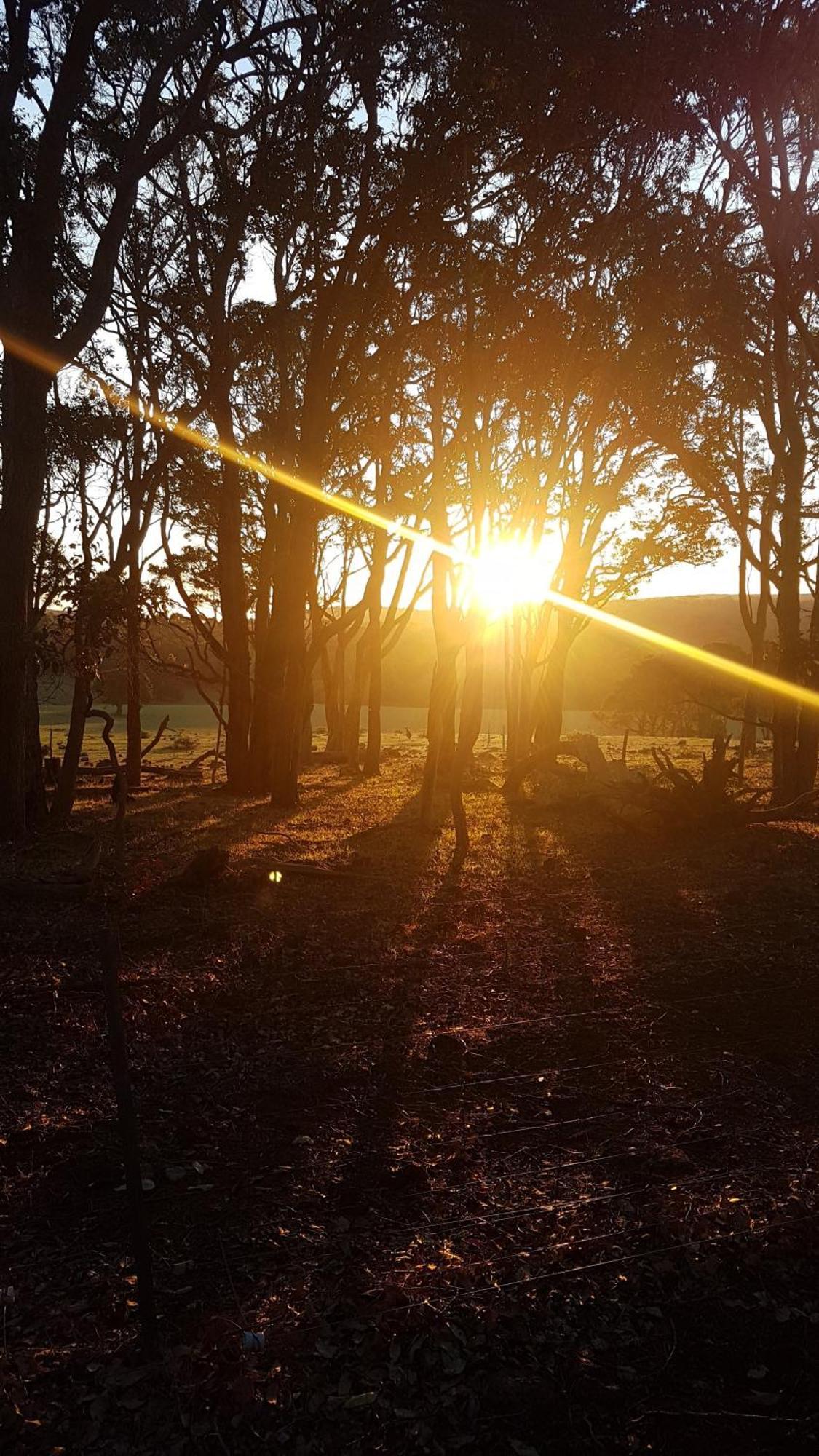 Bussells Bushland Cottages Margaret River Exteriér fotografie
