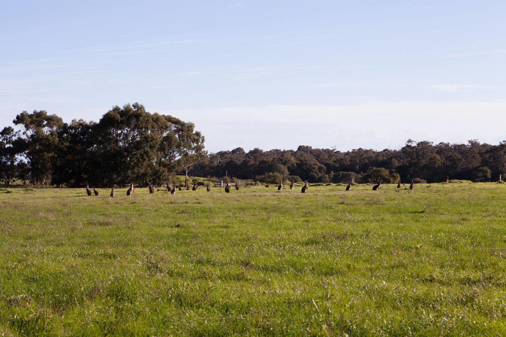 Bussells Bushland Cottages Margaret River Exteriér fotografie